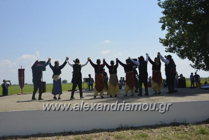 alexandriamou.gr_trikala28.5.2018008